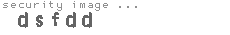security image