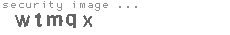 security image