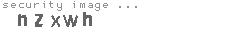 security image