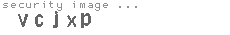 security image