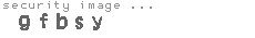 security image