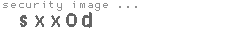 security image