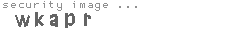 security image