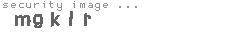 security image