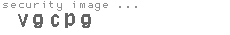 security image