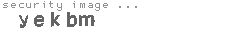 security image