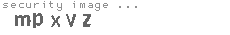 security image