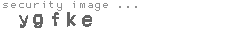 security image
