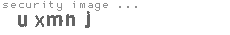 security image